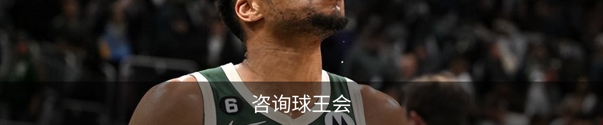 咨询球王会