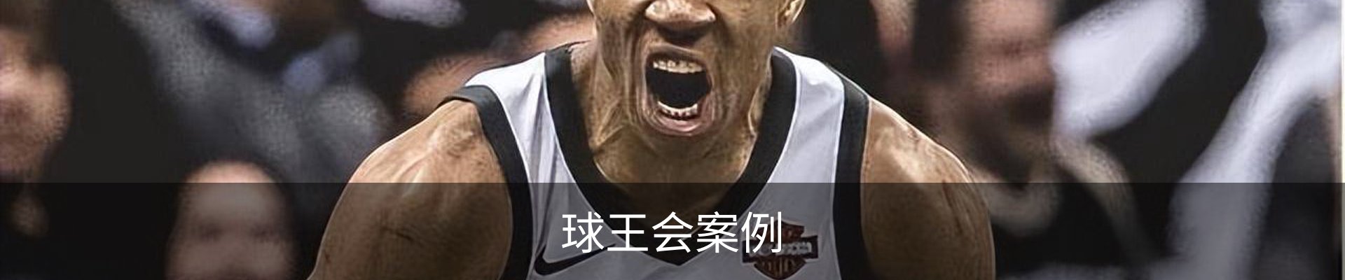 球王会案例
